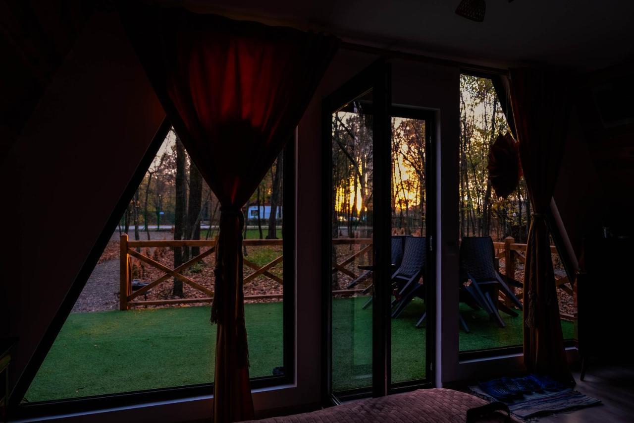 Villa Artarica Calugarenii  Exterior foto